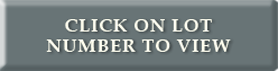 CLICK-ON-LOT-NUMBER-BUTTON